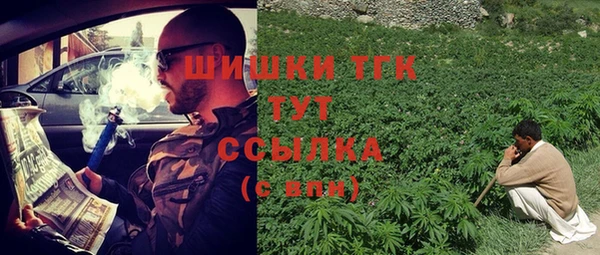 прущие грибы Баксан