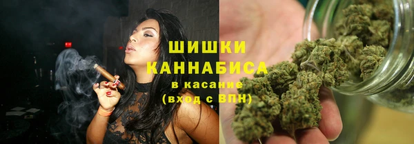 прущие грибы Баксан