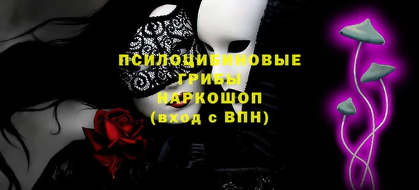 прущие грибы Баксан