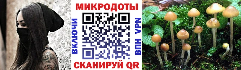 Псилоцибиновые грибы Cubensis  наркотики  Семикаракорск 